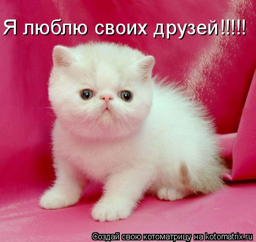 Открытки Я люблю своих друзей. Признания в любви друзьям. Я любл 