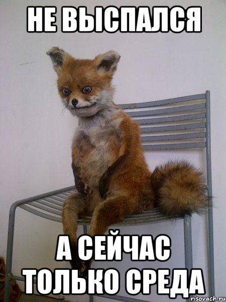 Открытки Открытки. На среду, открытки для среды, пожелания для среды, пожелания на среду Открытки. На среду, открытки для среды, пожелания для среды, пожелания на среду. Уже среда? Открытки для среды. Пожелания хорошей среды, удачной среды, успешной среды.