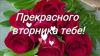 Открытки Открытки и пожелания друзьям - хорошего вторника и удачной недели. С вторником! Открытки и пожелания друзьям - хорошего вторника и удачной недели. С вторником! Пожелания на вторник. Хорошего, удачного вторника и счастливого вторника. Открытка пожелания.