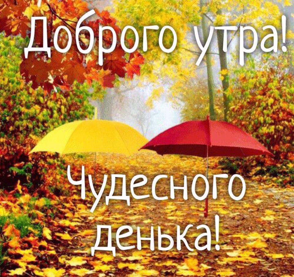 Открытки Открытки пожелания с добрым утром, картинки с добрым утром для родных и близких. Открытки - пожелания с добрым утром и хорошим настроением для родных и близких. Открытки с цветами, чашками чая и кофе, котиками, стихами, анимированные открытки.