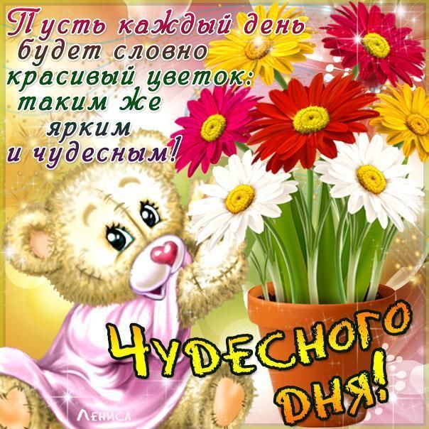 Открытки Открытки и пожелания с добрым, хорошим, удачным днем. Хорошего дня и отличного настроения. Открытки и пожелания с добрым, хорошим, удачным днем. Хорошего дня и отличного настроения. Добрый день. Удачного дня. Отличного дня. Открытки с цветами, бабочками, котиками.