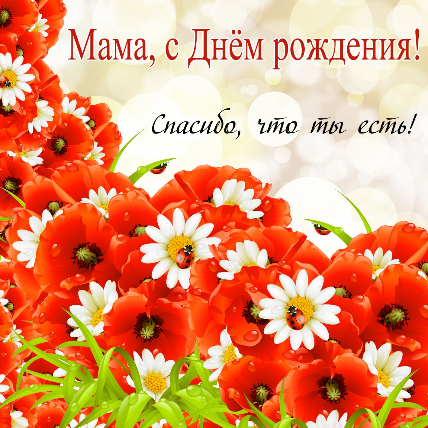 Открытки С Днем рождения милая мама. Открытки, поздравления, пожелания С Днем рождения милая мама. Открытки, поздравления, пожелания. Любимой мамочке моей! Родная, Только не болей! Мама! Слово дорогое в слове том лишь доброта. Мама! дорожу тобой я! С Днём Рождения тебя!