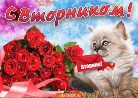 Открытки Открытки и пожелания друзьям - хорошего вторника и удачной недели. С вторником! Открытки и пожелания друзьям - хорошего вторника и удачной недели. С вторником! Пожелания на вторник. Хорошего, удачного вторника и счастливого вторника. Открытка пожелания.