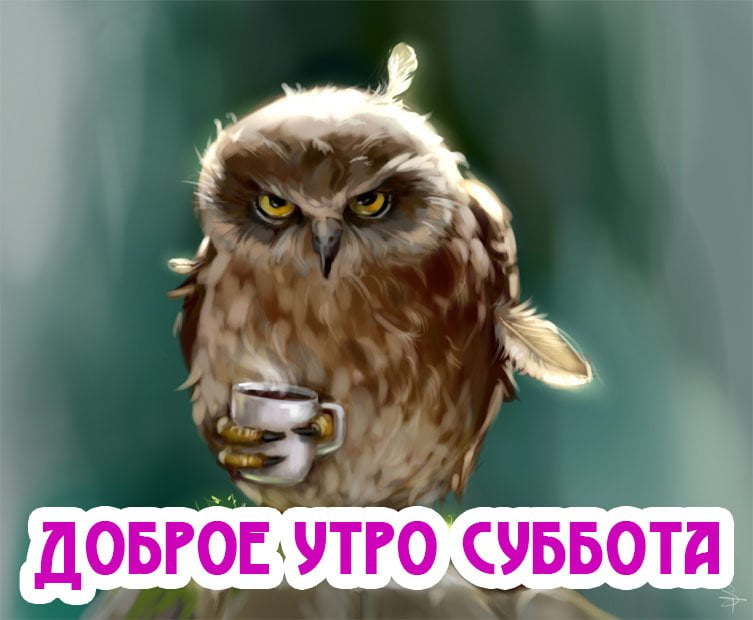 Открытки Доброго субботнего денечка. Открытки с субботой. Ура суббота. Суббота пришла. Доброго субботнего денечка. Открытки с субботой. Ура суббота. Суббота пришла. Открытки и пожелания с субботой. Суббота пришла. Выходные. Субботний вечер. Открытки с стекстом.