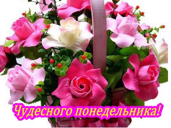 Открытки Открытки и пожелания к каждому дню недели. Доброго, хорошего вам Понедельника. Опять понедельник? Открытки и пожелания к каждому дню недели. Доброго, хорошего вам Понедельника. Опять понедельник? Картинки к понедельнику. Поздравления с понедельником. Пожелания хорошего понедельника