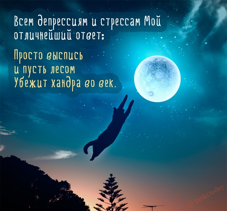 Открытки доброй ночи картинки. доброй ночи добрых снов. сон пожелание. доброй ночи добрых снов картинки. доброй ночи бесплатно Открытки спокойной ночи. доброй ночи картинки. доброй ночи добрых снов. сон пожелание. доброй ночи добрых снов картинки. доброй ночи бесплатно. картинки доброй ночи сладких