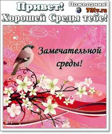 Открытки Открытки. На среду, открытки для среды, пожелания для среды, пожелания на среду Открытки. На среду, открытки для среды, пожелания для среды, пожелания на среду. Уже среда? Открытки для среды. Пожелания хорошей среды, удачной среды, успешной среды.
