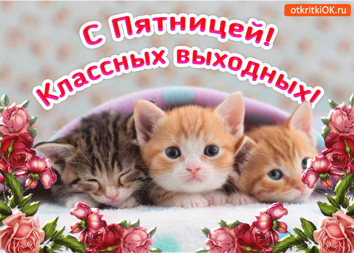 Открытки С пятницей, хорошей пятницы, доброй пятницы, хорошего конца недели. Открытки с пятницей! С пятницей, хорошей пятницы, доброй пятницы, хорошего конца недели. Открытки с пятницей! Открытки и пожелания, поздравления с пятницей. Открытки Ура пятница. Уже пятница!