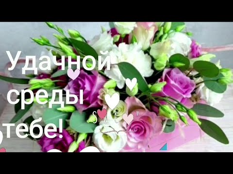 Открытки Открытки. На среду, открытки для среды, пожелания для среды, пожелания на среду Открытки. На среду, открытки для среды, пожелания для среды, пожелания на среду. Уже среда? Открытки для среды. Пожелания хорошей среды, удачной среды, успешной среды.