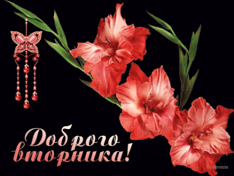Открытки Открытки. На среду, открытки для среды, пожелания для среды, пожелания на среду Открытки. На среду, открытки для среды, пожелания для среды, пожелания на среду. Уже среда? Открытки для среды. Пожелания хорошей среды, удачной среды, успешной среды.