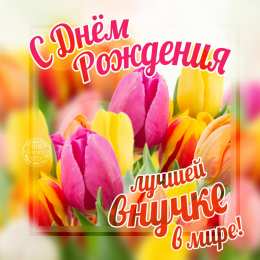 С Днем рождения внучки Поздравления на день рождения внучки. У меня родилась внучка.