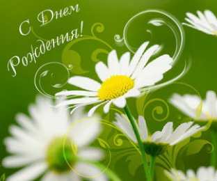 С Днем Рождения Открытки со словами : С днем рождения! на разных фонах. 