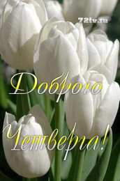 Четверг Открытки с добрым четвергом, хорошего четверга, ура четверг.