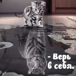 Цель Открытки, картинки. цель, мотивация, вера в себя, иди вперед