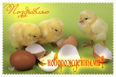 С прибавлением! С прибавлением в семье! С пополнением в семье. С пополнением!