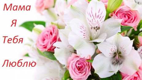 Мама, я тебя люблю! Мама